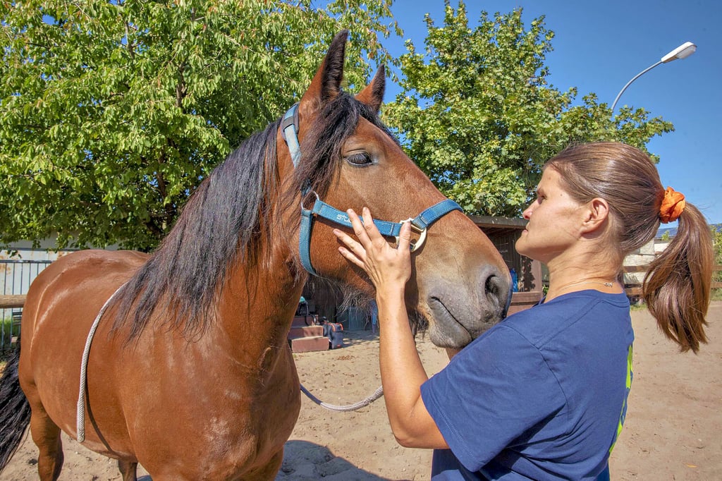 Die Pferdeosteopathin Dajana Weber mit ihrer sechsjährigen Stute Romi