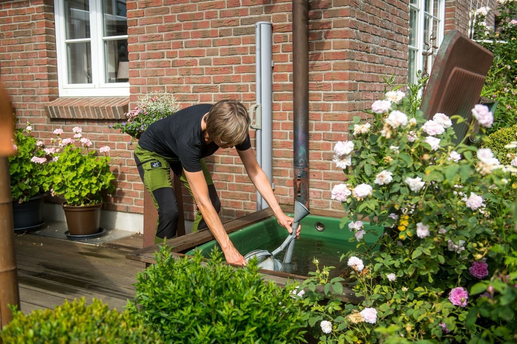Naheliegend: Mit gesammeltem Regenwasser lassen sich die Pflanzen im Garten an heißen Sommertagen gießen.