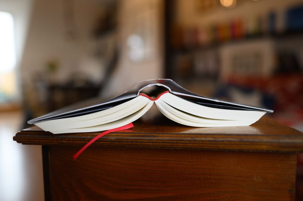 Junge Niederländer greifen einer Umfrage zufolge wieder häufiger zu einem Buch als früher.