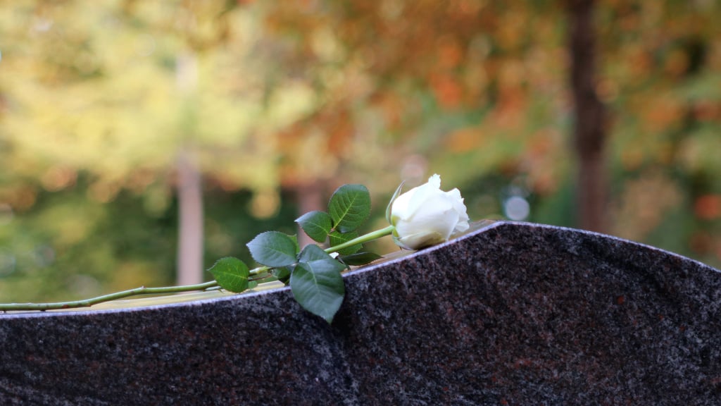 Nach dem Tod einer 33-jährigen Mutter aus Harzgerode hat eine Freundin eine "GoFundMe"-Spendenaktion für die Familie ins Leben gerufen.