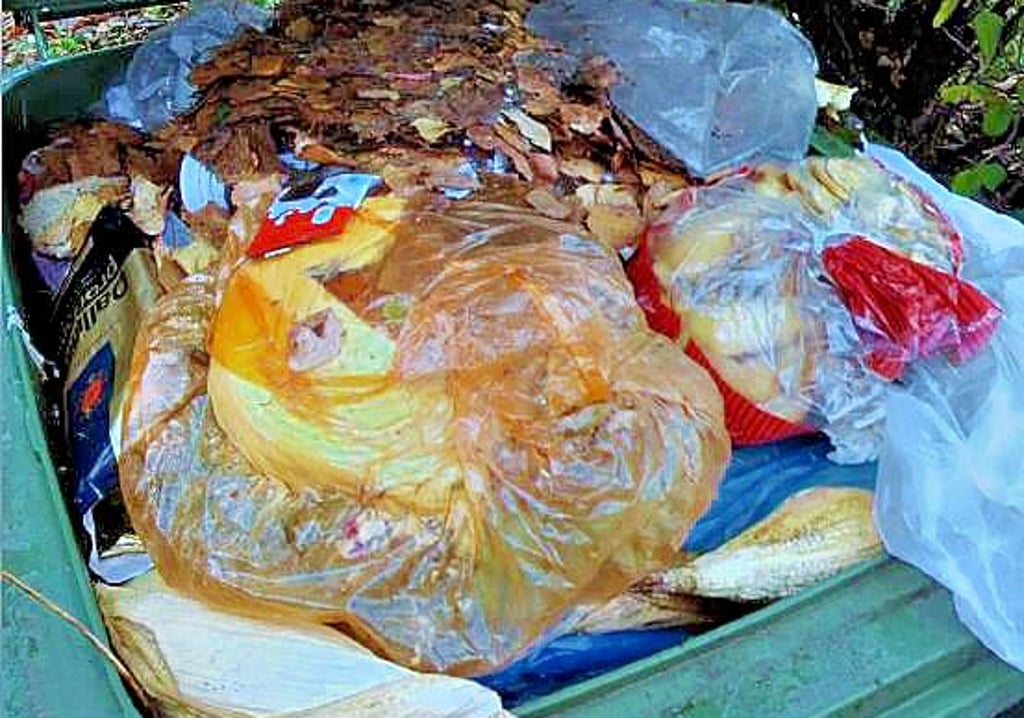 In Dessau findet die Müllabfuhr vermehrt Plastik in den Biotonnen.
