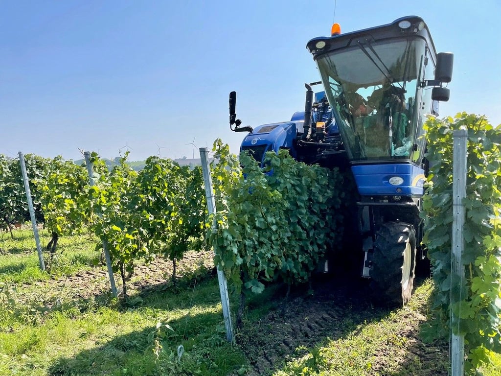 Die Weinhänge an der Saale und Unstrut, wie hier bei Burgwerben, sind ein Aushängeschild der Region. Doch habe der Burgenlandkreis „so viel mehr, als nur Wein zu bieten“