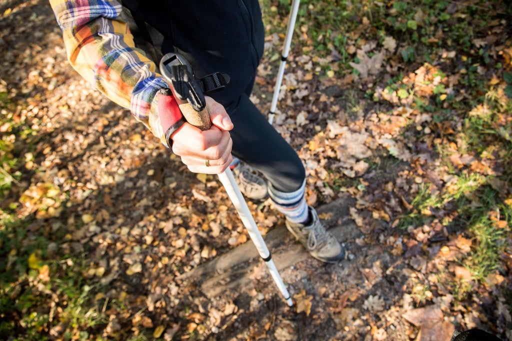 Bunt unterwegs: Der Herbst ist eine reizvolle Wandersaison - birgt allerdings auch potenzielle Risiken und Besonderheiten, die man beachten sollte.