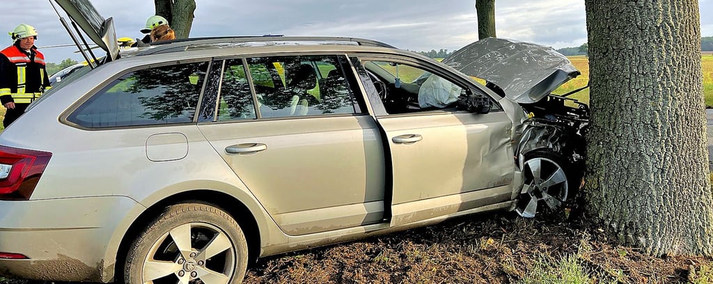 Kurz hinter Mahlitz kam das Fahrzeug der Scharlibberin von der Fahrbahn ab, streifte einen Baum und kam an einem weiteren zum Stehen.