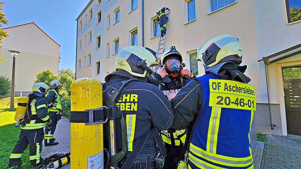 Ein Brandmelderalarm hat in Aschersleben für einen Einsatz gesorgt.