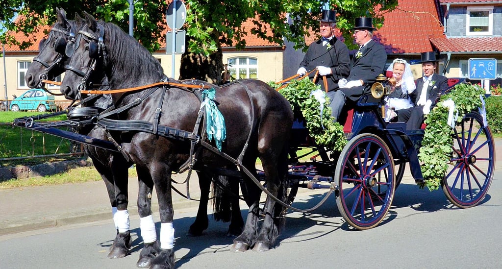 Caroline Boohs und Johannes Barthel schlüpften in die Rolle des Brautpaares der schwarzen Hochzeit. Gerhard Drebenstedt (links) fuhr die Kutsche.