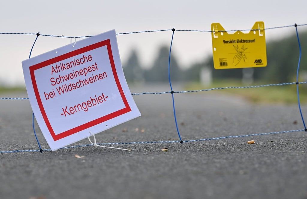 Ein mobiler Elektrozaun mit einem Zettel mit der Aufschrift „Afrikanische Schweinepest bei Wildschweinen - Kerngebiet“ ist über eine Straße gespannt.