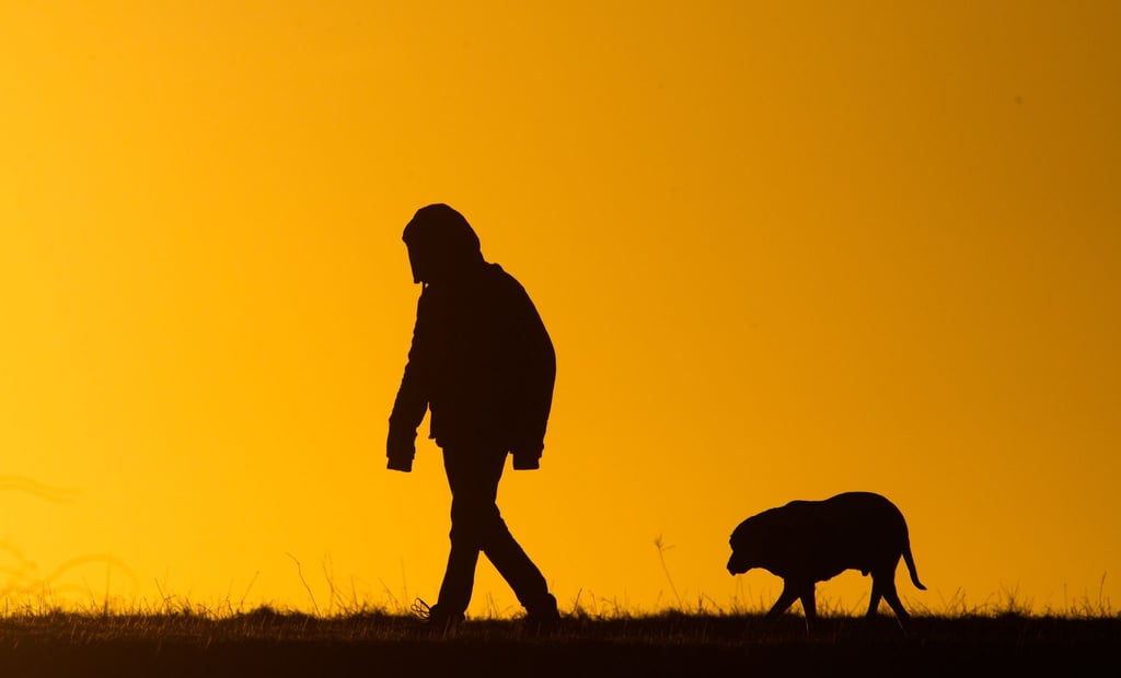 Ein junger Mann spaziert mit einem Hund bei Sonnenaufgang über einen Feldweg.