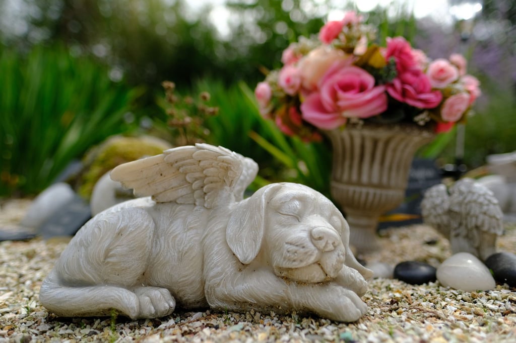 Auf Tierfriedhöfen können Trauernde, die keinen Garten haben, ihre Tiere beisetzen.