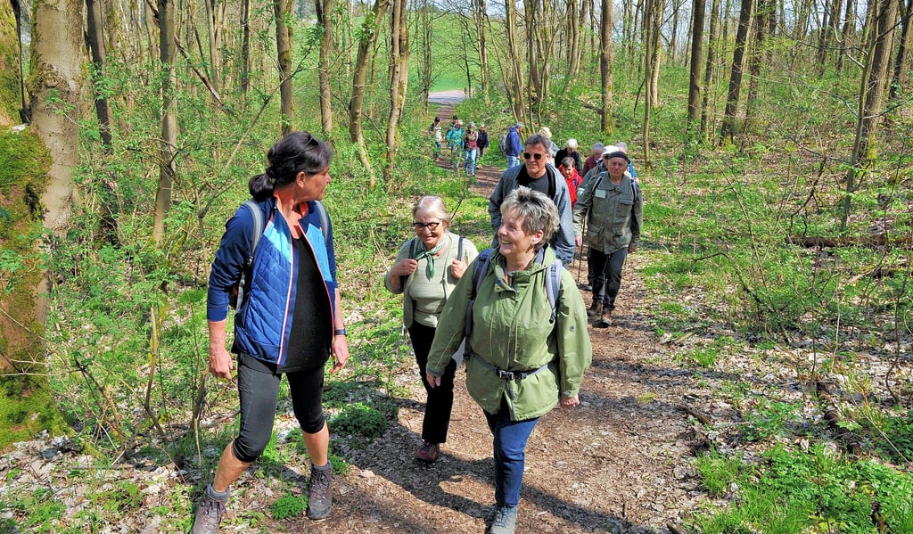 Besonders beliebt sind die geführten Sonntagswanderungen auf dem Karstwanderweg, jährlich werden etwa 45 angeboten.