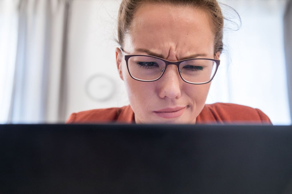 Da kann man schon mal skeptisch werden: Im Netz tummeln sich viele „Dienstleister“, die Behörden-Services verkaufen.