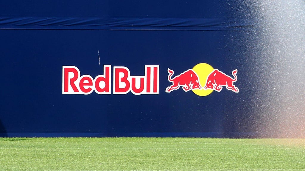 RB Leipzig wird nicht nur von Red Bull unterstützt.