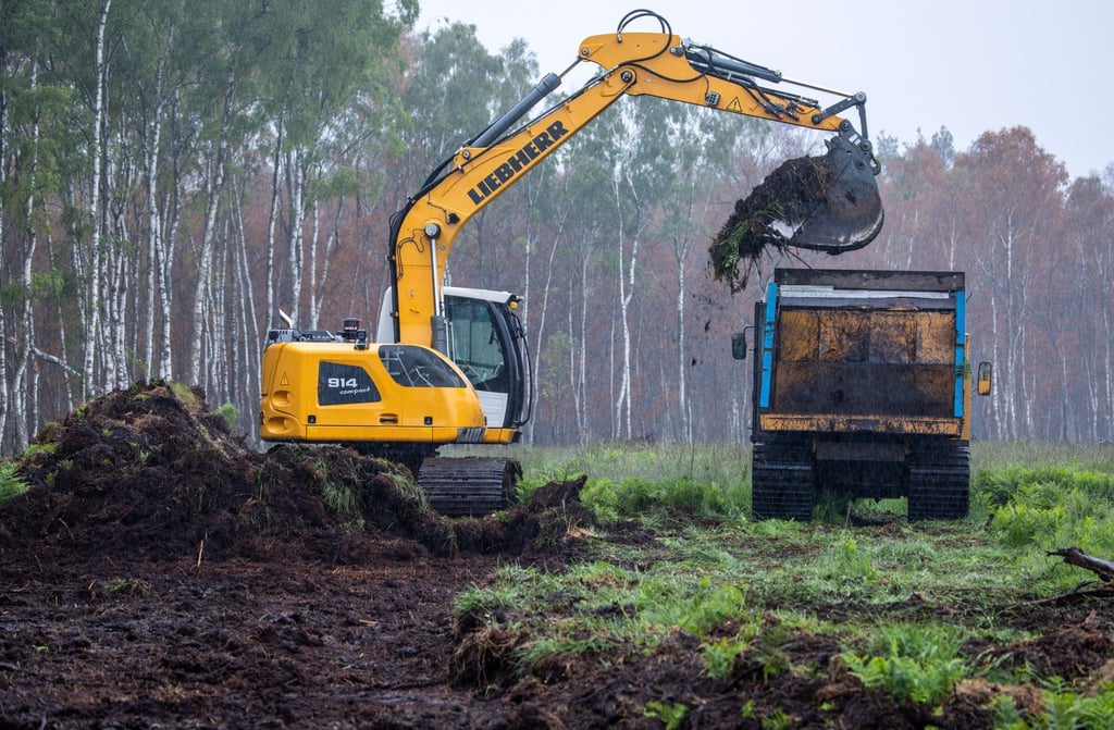 Ein Bagger trägt im Göldenitzer Moor die obere Bodenschicht samt Pflanzen ab, um die spätere Ernte des Torfs vorzubereiten.