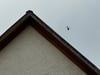 Ein Hubschrauber kreist über Wernigerode.