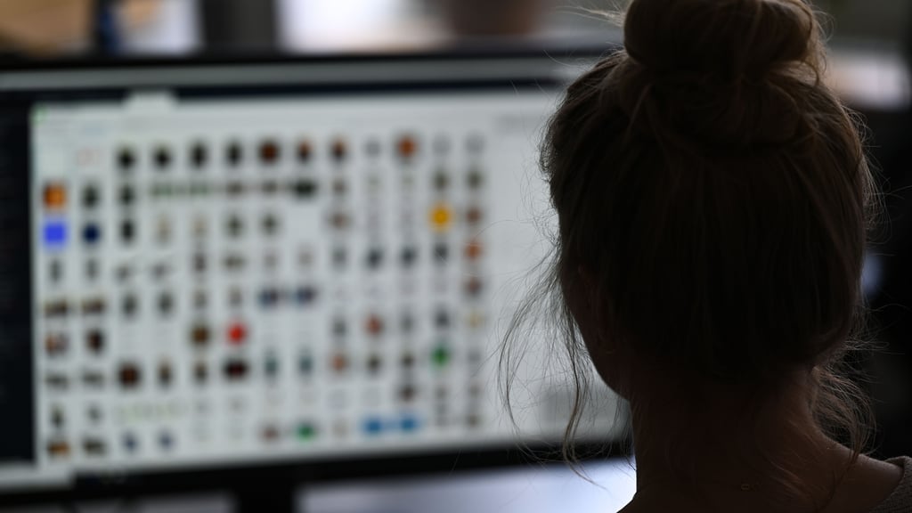 Eine Kriminaloberkommissarin sitzt in vor einem Auswertungscomputer auf der Suche nach Kinderpornografie. In Nienburg wurden Beamte bei einer Durchsuchung fündig.