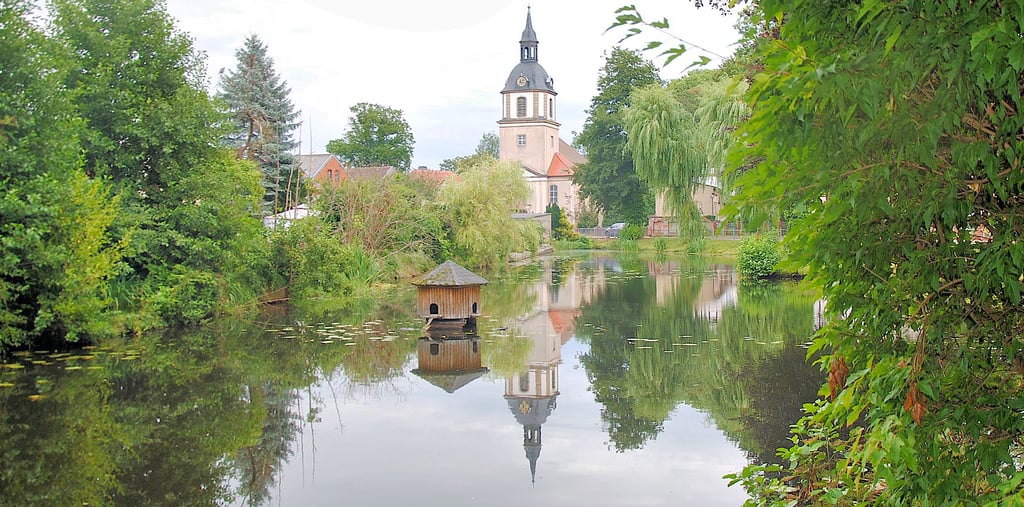 Nicht immer zeigt sich das Wasser des Mühlenteichs so klar wie hier. Ablagerungen auf der Oberfläche haben bei Anwohnern Besorgnis ausgelöst, die laut Bürgermeister aber unbegründet ist.