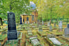 Ein Bild der Verwüstung bietet derzeit der Jüdische Friedhof in Köthen. 38 Grabstätten wurden hier geschändet.