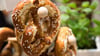 Brezeln gibt es nicht nur auf dem Oktoberfest. Sie sind ein köstliches Katerfrühstück und geben dem Körper dringend benötigte Mineralien zurück.