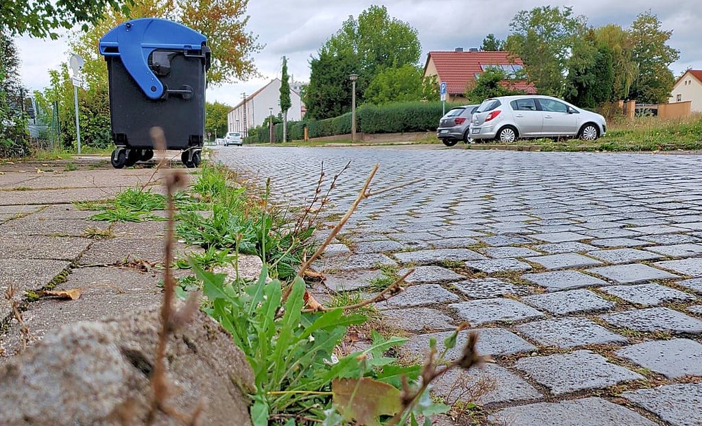 Für mehrere Millionen Euro soll Heinrich-Heine-Straße in Wolmirstedt saniert werden.