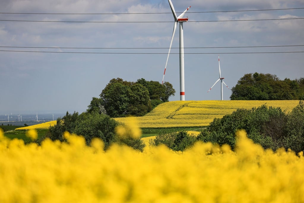 Die Sonne scheint über einem Rapsfeld.