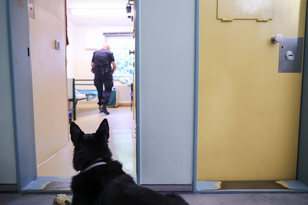 Ein Justizbeamter durchsucht mit einem Spürhund in einem Revisionseinsatz einen Haftraum.