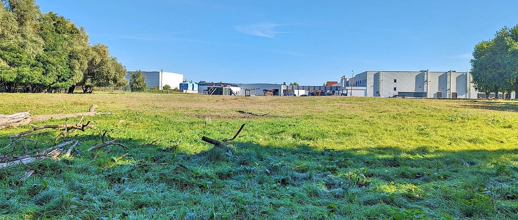 Die Freifläche hinter der Waffelfabrik in Gerwisch, die östlich an den Sportplatz grenzt, westlich parallel zur Bahnstrecke Magdeburg-Berlin verläuft, soll mit einer Freiflächenphotovoltaikanlage ausgestattet werden. Den Strom will die Fabrik zur Produktion nutzen. Außerdem soll eine öffentliche E-Ladesäule installiert werden.