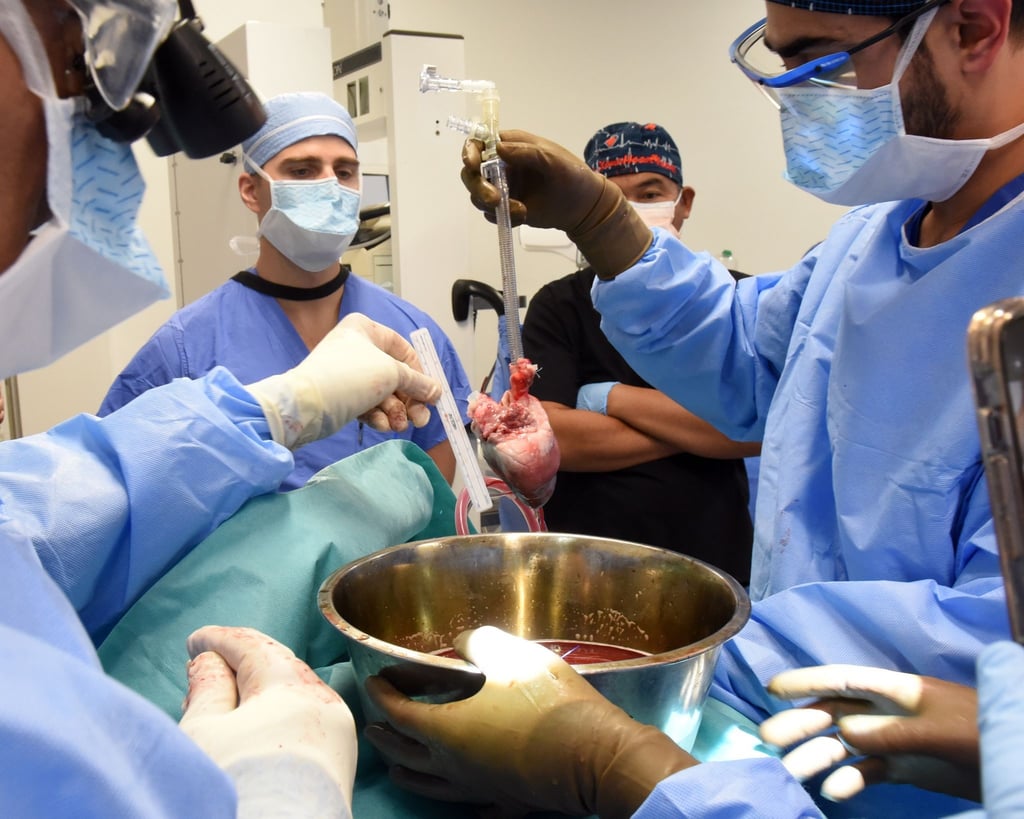 Chirurgen an der Uniklinik in Baltimore bereiten sich auf die Schweineherz-Transplantation vor. Es ist der weltweit zweite Eingriff dieser Art.