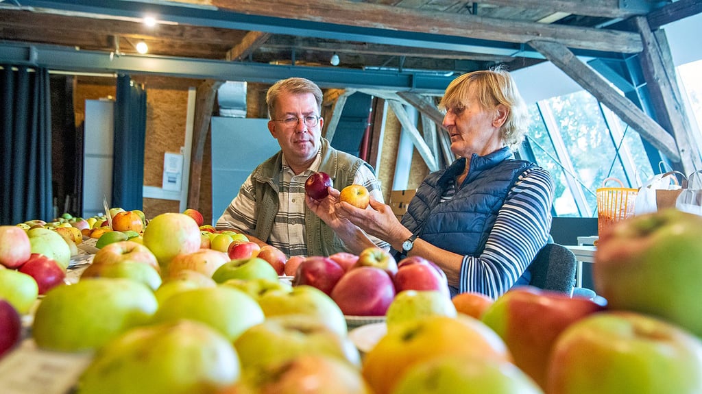 An der langen Apfel- und Birnen-Tafel: Pomologin Iris Hölzer und Nabu-Mitglied Dirk Mundt.