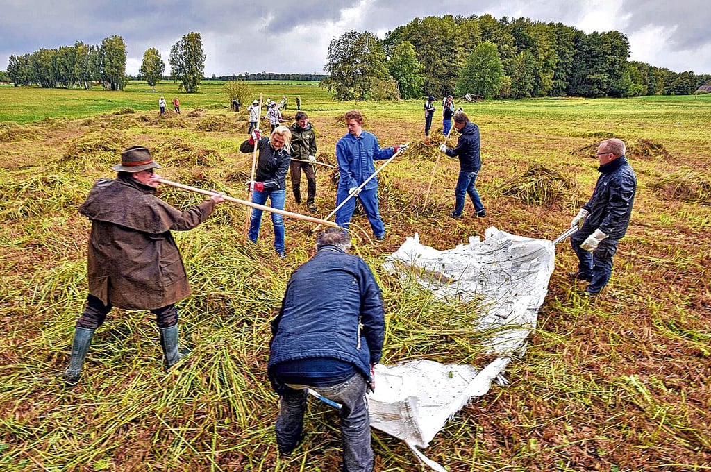 Auf einer Wiese im Hammerbachtal wird Heu gemacht.