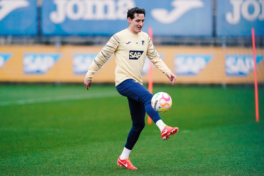 Hoffenheims Sebastian Rudy beendet seine Karriere.