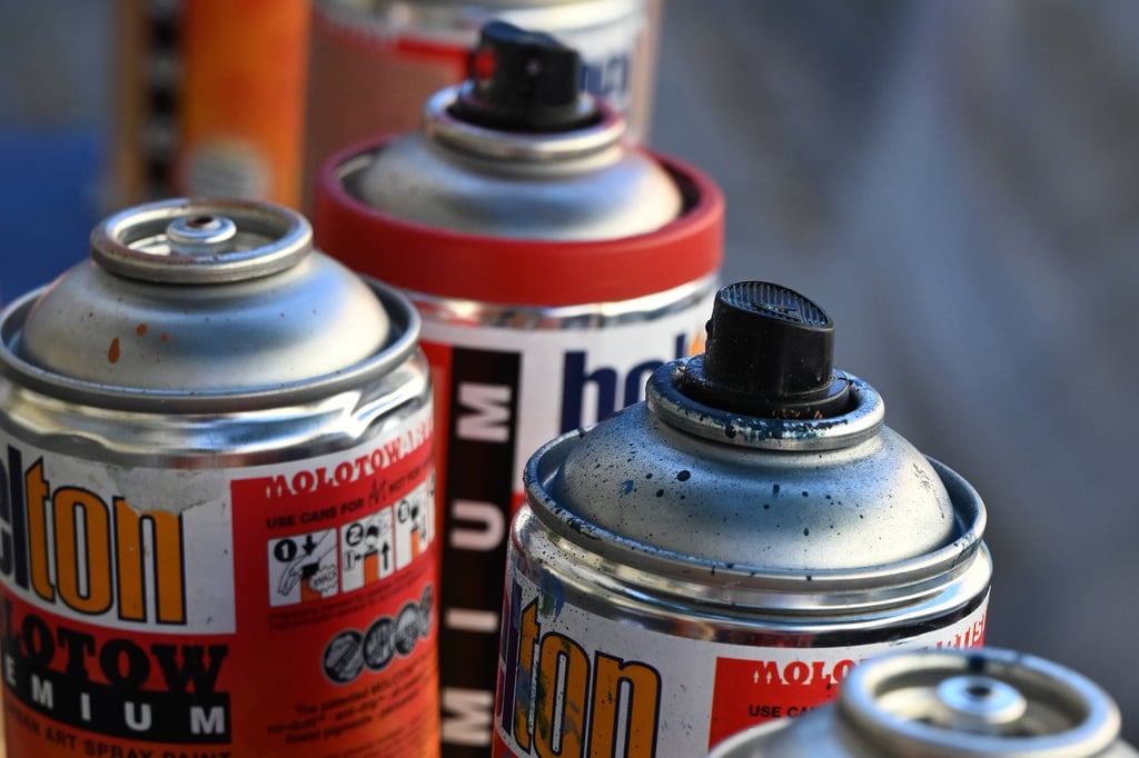 In Naumburg wollte sich ein Sprayer an einem Garagenkomplex verewigen. Die Bundespolizei ertappte ihn per Helikopter aus der Luft. 