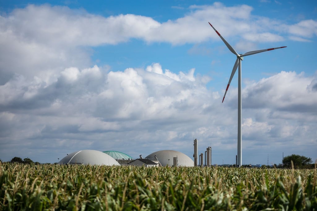 Ein Windrad dreht sich neben einer Biogasanlage hinter einem Maisfeld westlich von Halle (Saale).