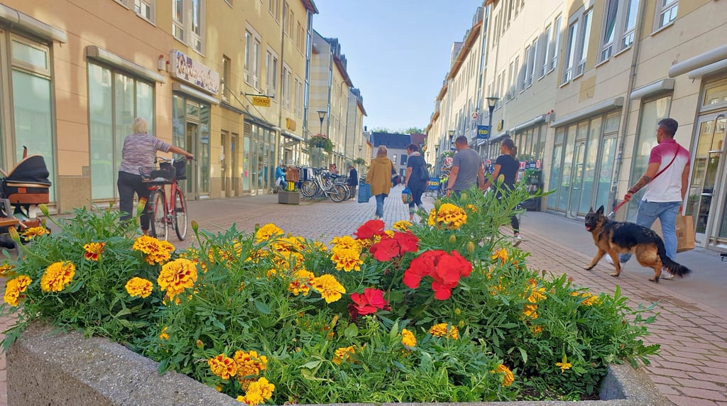 Blick in die Köthener Wallstraße mit Geschäften, Stadtverwaltung und Archiv: Blumen sorgen für eine angenehme Atmosphäre.