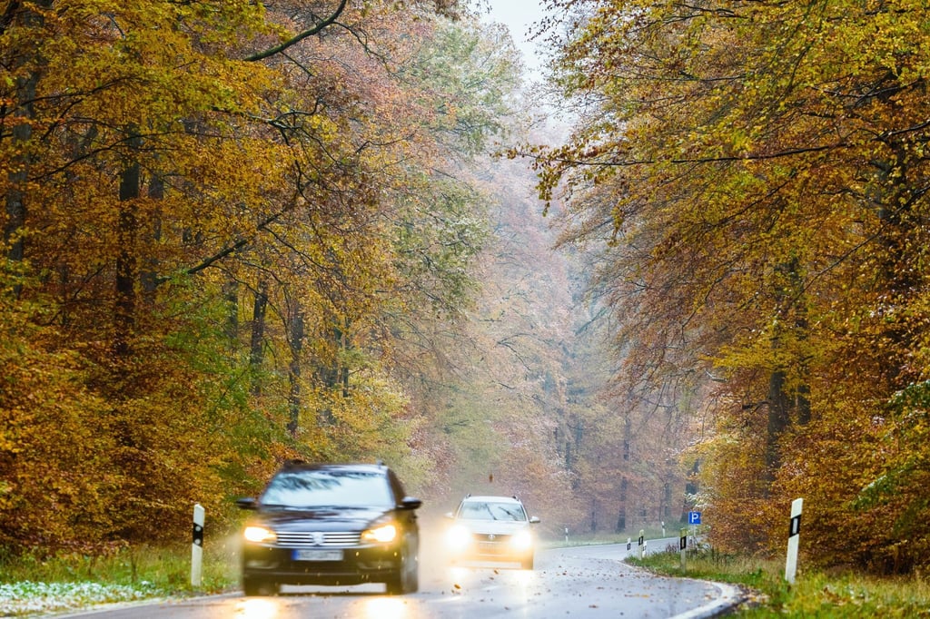Im Herbst können nasses Laub und Ernteschmutz für rutschige Straßen sorgen - also besser Tempo reduzieren und mehr Abstand halten.
