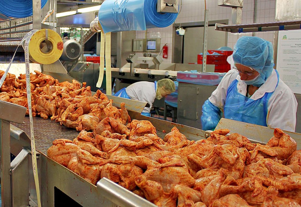 In Möckern wird der „Broiler“ von Wiesenhof hergestellt.