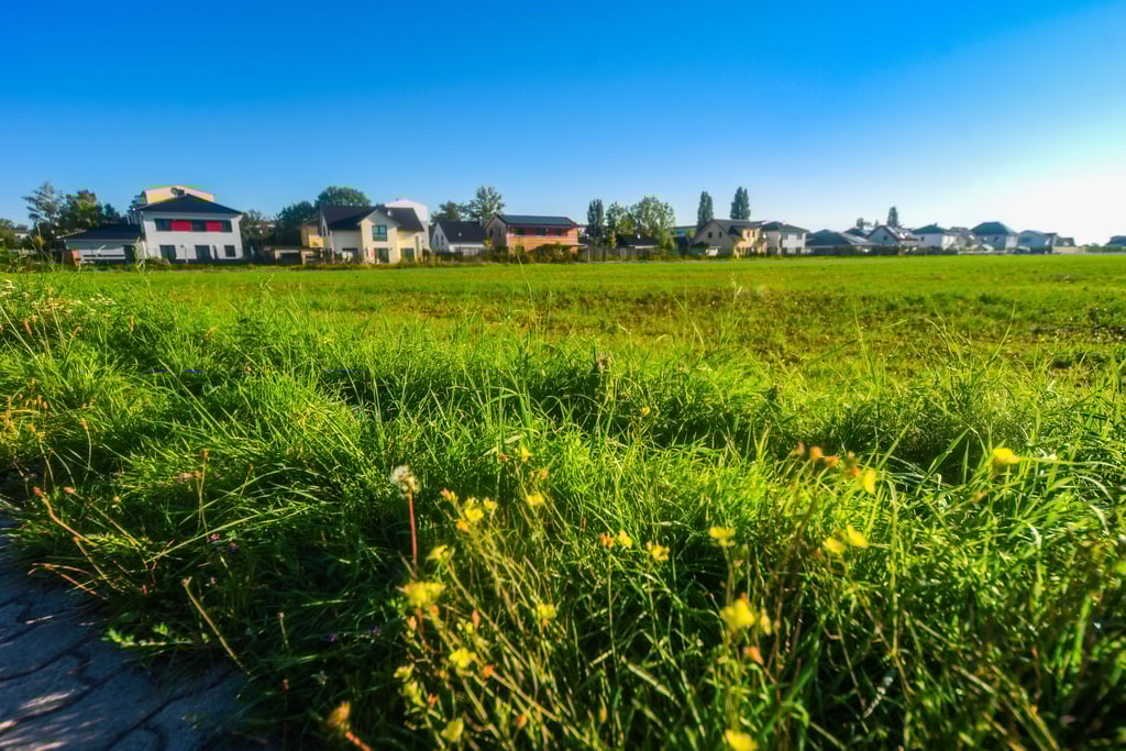Erst einmal bleibt das Feld neben dem noch jungen Wohngebiet südlich der Schladebacher Straße unbebaut.