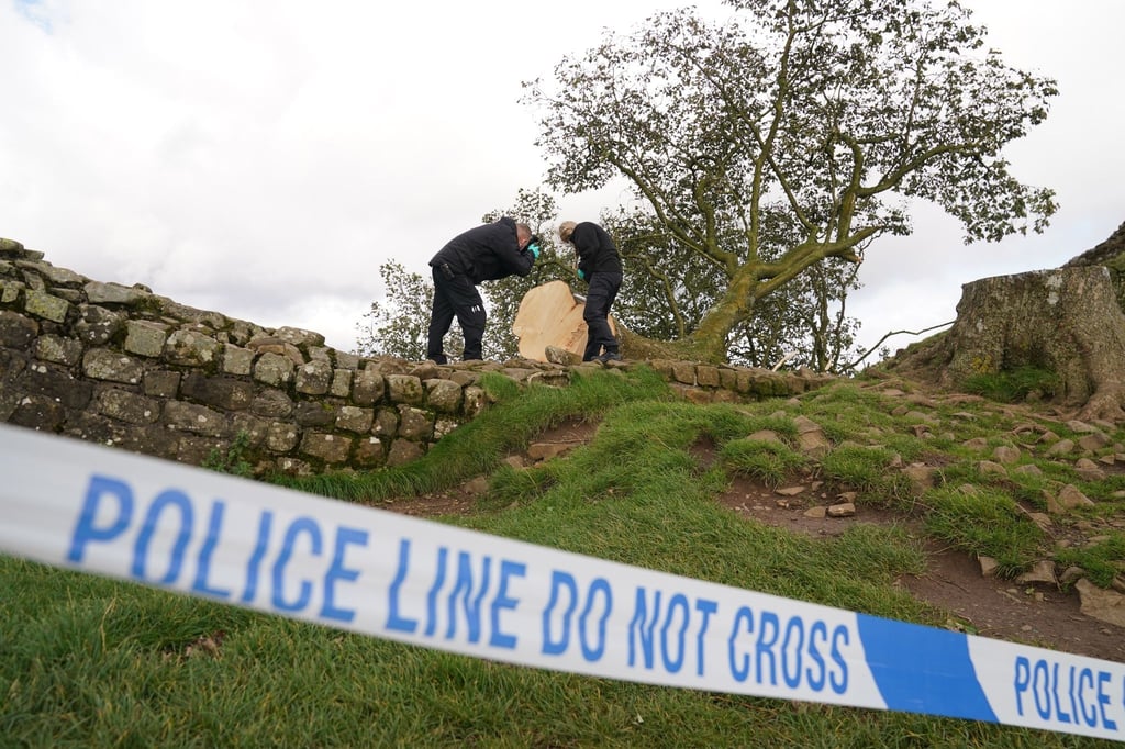 Forensische Ermittler der Polizei Northumbria untersuchen den illegal gefällten Berg-Ahorn-Baum („Sycamore Tree“) am Hadrianswall.