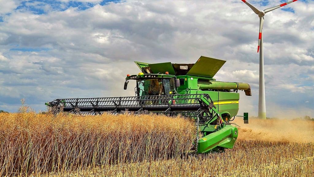 Im Erntebericht 2023 blicken die Landwirte aus dem Salzlandkreis auf die diesjährige Ernte von Raps und Getreide zurück.
