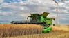 Im Erntebericht 2023 blicken die Landwirte aus dem Salzlandkreis auf die diesjährige Ernte von Raps und Getreide zurück. 