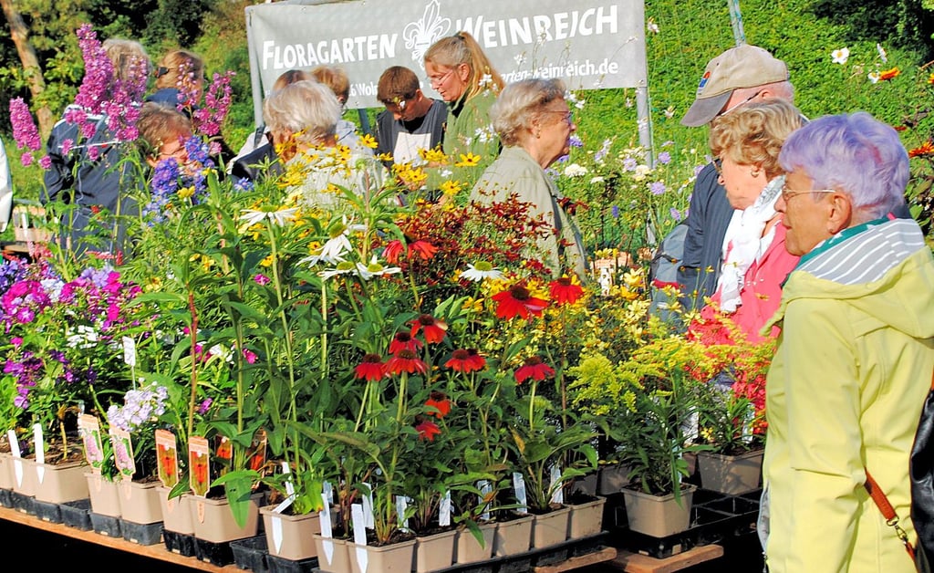 Gemäß dem Motto „Von Haus, Hof und Garten – für Haus, Hof und Garten" war auf dem Bauernmarkt eine Vielzahl an Pflanzen im Angebot.