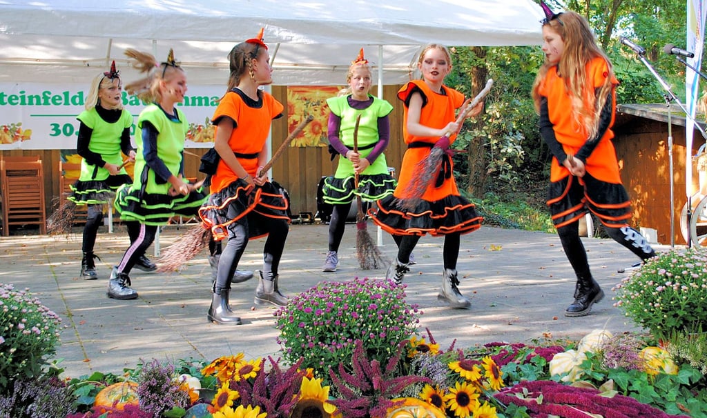 Die Kindertanzgruppe des Schinner Carneval Clubs unterhielt das Publikum im Rahmen des Kulturprogrammes auf der geschmückten Feldsteinbühne.