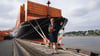 Elke Büdenbender bei der Taufe des Containerschiffs in Hamburg.