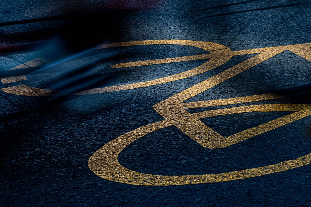 Nur noch für Fahrradfahrer? Die Stadtverwaltung hat Umbaupläne für die Emil-Abderhalden-Straße in Halle.