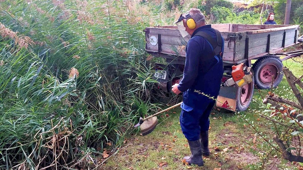 Arbeitseinsatz in Winningen: Der zugewachsene Dorfteich muss wieder vom Schilf befreit werden. Dabei hilft auch die Feuerwehr.