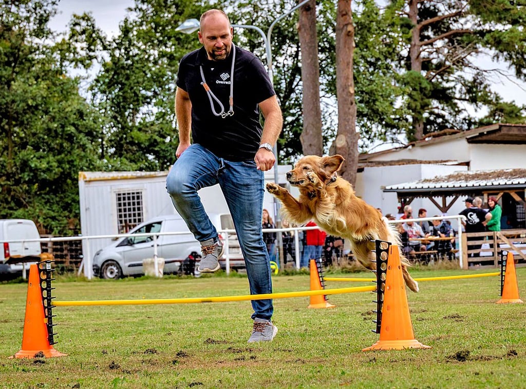 Mensch und Hund gehen gemeinsam auf den Parcours..