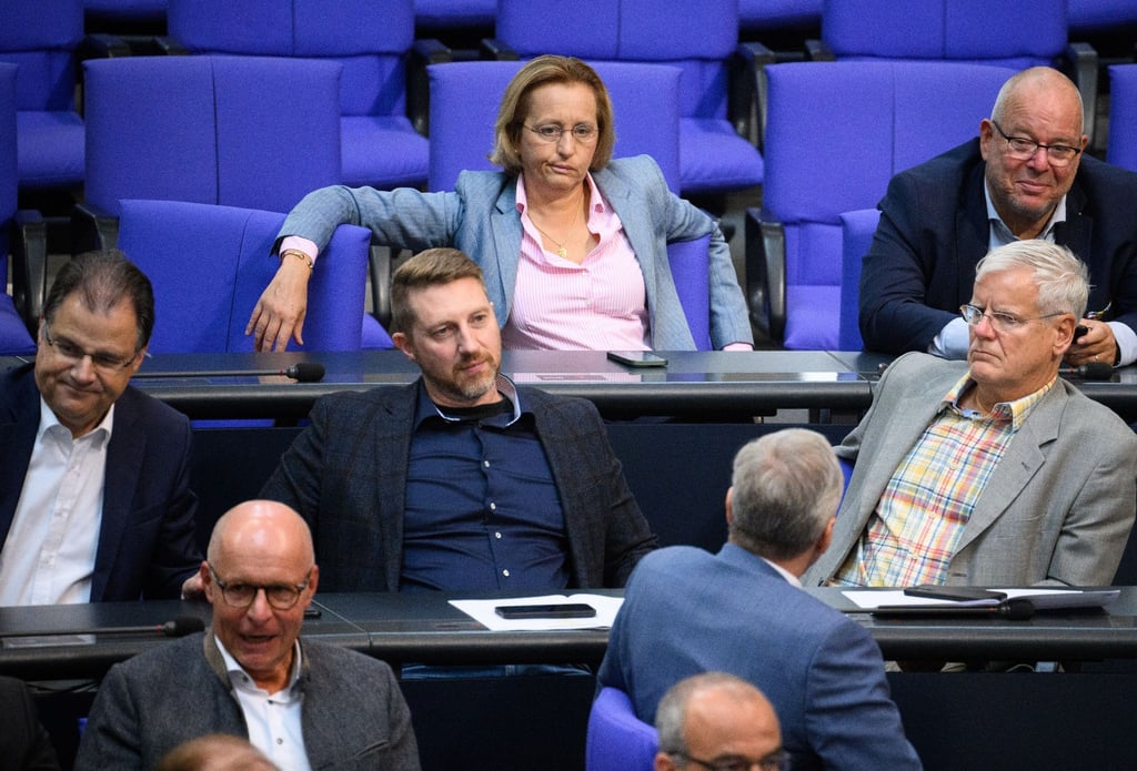 Beatrix von Storch (AfD, M) im Deutschen Bundestag.