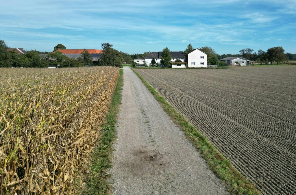 Ein Feldweg in Naarn.