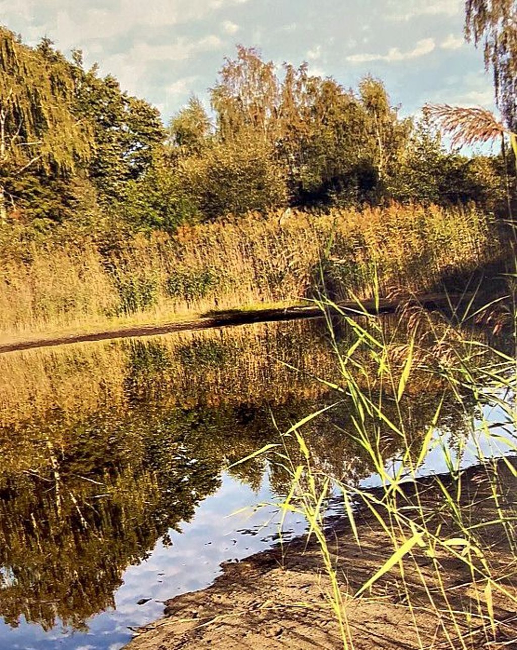 Diese Aufnahme zeigt, welches Idyll der Teich einmal gewesen ist.