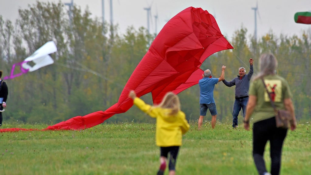 Drachen in allen Größen und Farben stiegen am Tag der Deutschen Einheit in Ascherslebens Himmel.