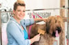 Die aus Halle stammende Hundefriseurin Franziska Knabenreich ist aus der TV-Haustiersendung „hundkatzemaus“ bekannt.